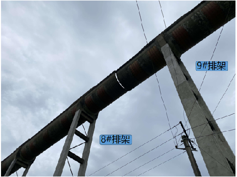 星欧娱乐-科技赋能场景,让平台更有创意!